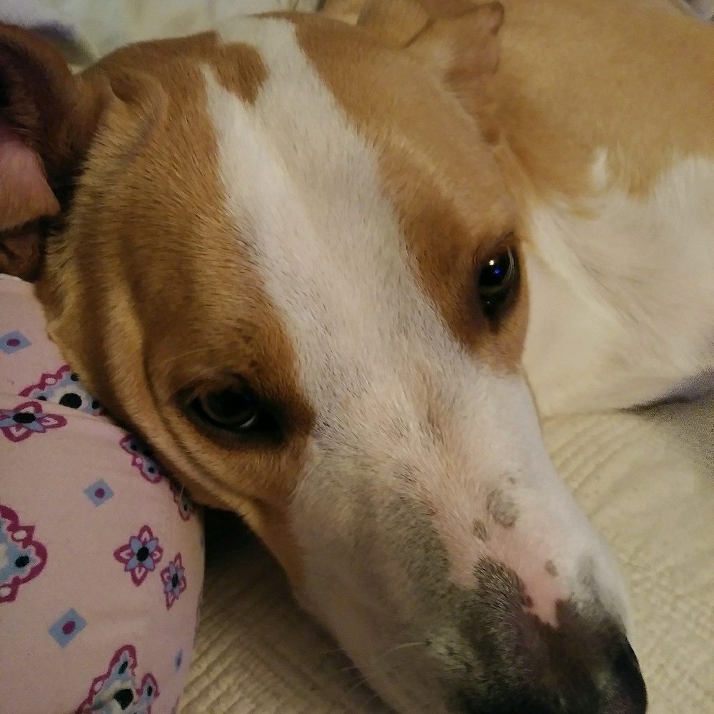 Meet your Posher, Maralyn